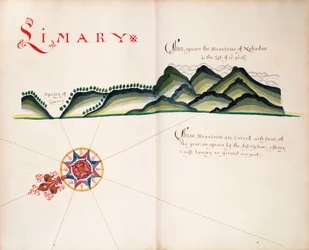 Limary, côte pacifique sud-américaine