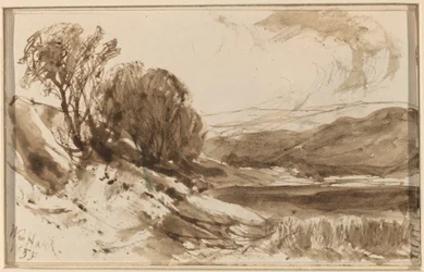 Paysage vallonné avec arbres