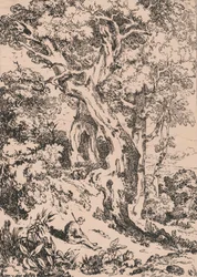 Étude d