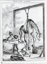 État de la girafe, 1829