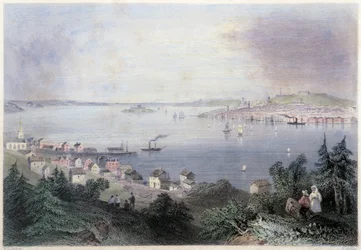 Vue d