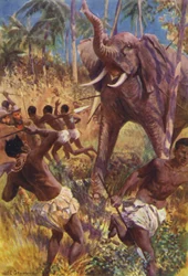 Illustration pour Les Chasseurs de gorilles de R M Ballantyne