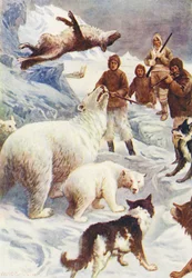 Illustration pour Le Monde de la Glace ou la Croisière Baleinière du Dauphin