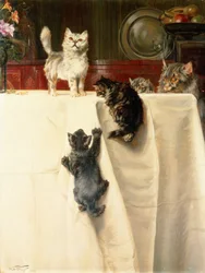 Chats