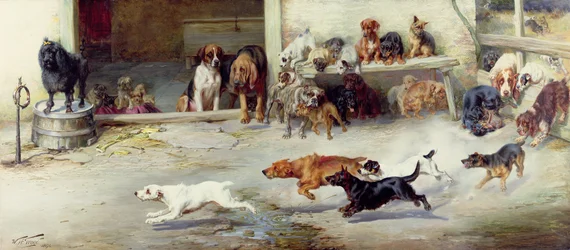 Poursuite acharnée, 1894