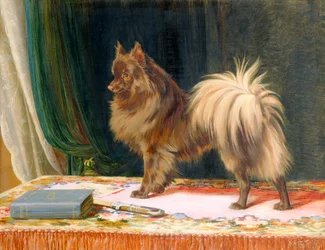 Portrait de Prairie Prince