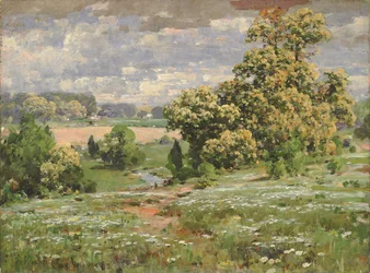 Châtaigniers en fleurs