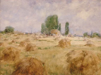 Champ de Blé en Gerbes