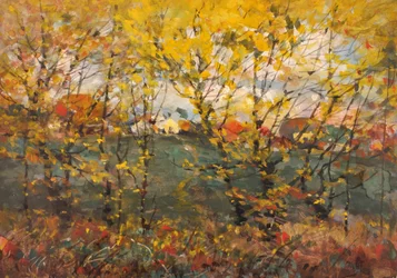 Chêne royal, 1932