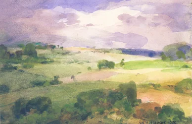 Les champs du Maryland
