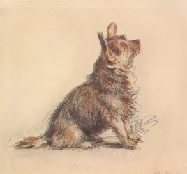 Un terrier assis, regardant vers le haut à droite