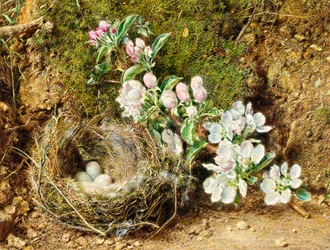 Branche de fleur de pommier et nid d