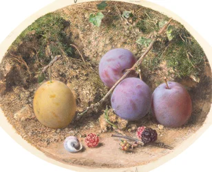 Prunes et mûres