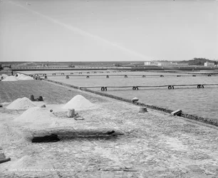 Salines et cuves de raffinage, Mexique, vers 1880-97