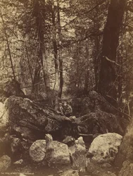 Le sentier dans le canyon de West Gallatin, vers 1870