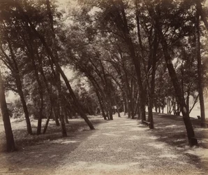 Terrain de pique-nique, c. 1895 (photo)