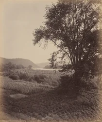 Picturesque Susquehanna, Near Laceyville,c. 1895 (photo)