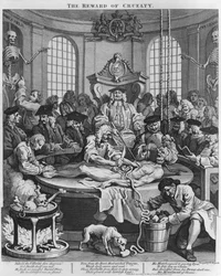 Autopsie ou La Récompense de la cruauté, tirée des «Quatre Étapes de la cruauté», 1751