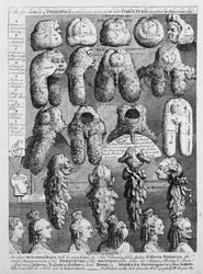 Les Cinq Ordres de Perruques, 1761