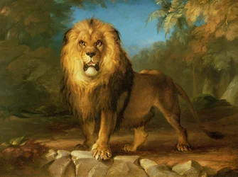 Un lion, 1840