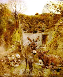 Ânes et canards dans une cour de ferme