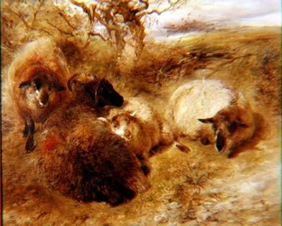 Béliers et brebis dans un paysage
