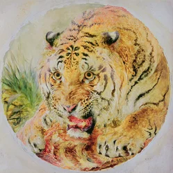 Tête de tigre