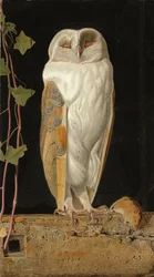 La chouette blanche : "Seul et réchauffant ses cinq esprits, la chouette blanche dans le clocher est assise", 1856