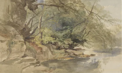 Vue dans Stapleton Wood, près de Bristol