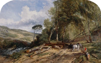 Transport de bois