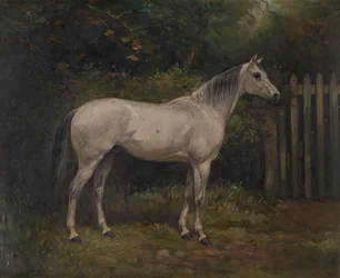 Pickles : un poney basuto, c.1904
