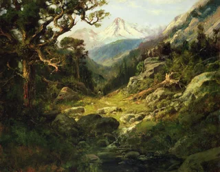 Paysage avec le Mont Shasta