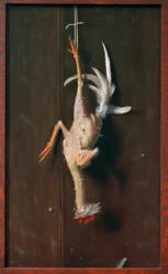 Plumé à vif