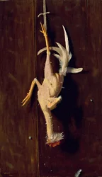 Plumé à vif, 1882