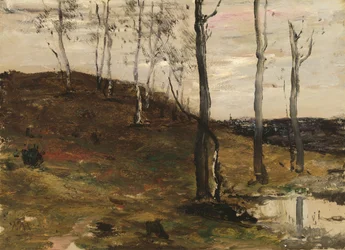 Colline avec arbres