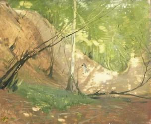 Une clairière près de Midhurst