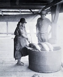 Nettoyeur de saumon indien, près de New Westminster, Colombie-Britannique (Province du Canada)