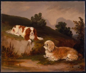 Paysage avec épagneul et terrier