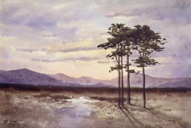 Coucher de soleil, Comté de Sligo