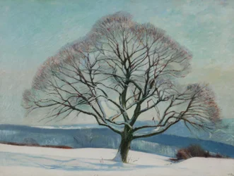 Arbre en hiver