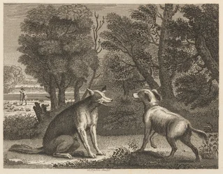 Le Chien du Berger et le Loup