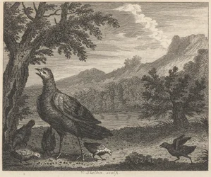 Le dindon et la fourmi