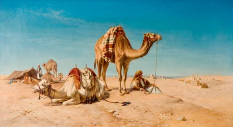 Une halte dans le désert, 1867