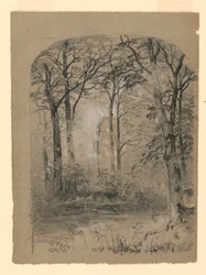 Paysage