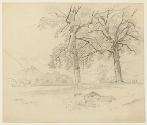 Paysage, Lac de Brienz, Interlaken, Suisse