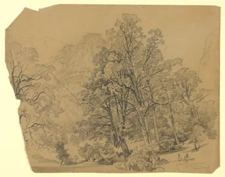 Paysage, Silberhorn, Lauterbrunnen, Suisse