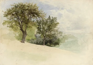 Paysage avec arbres sur une colline, 1880-85