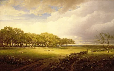 Vieux verger à Newport