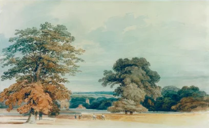 Paysage dans le Kent