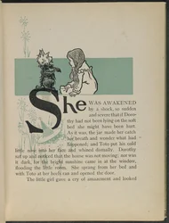 Illustration tirée de "Le merveilleux magicien d